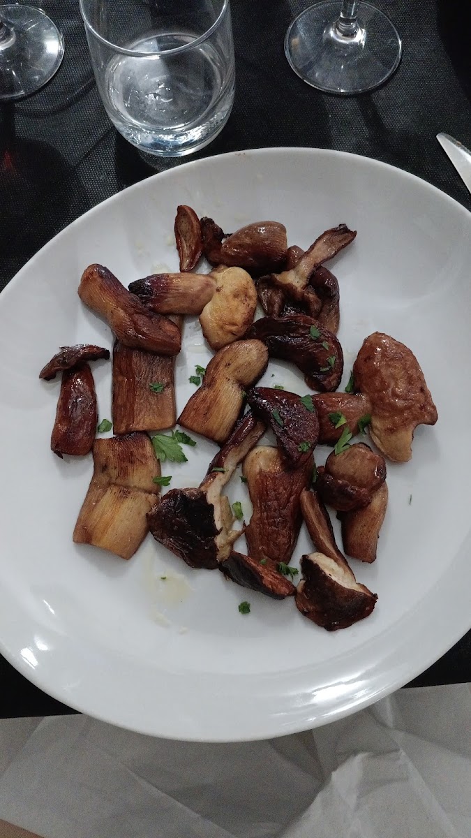 Rifugio Olmata Di Bartolo Giovanni-4