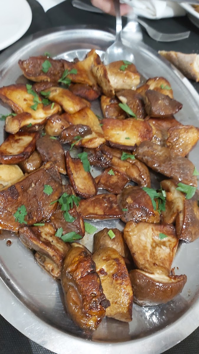 Rifugio Olmata Di Bartolo Giovanni-6